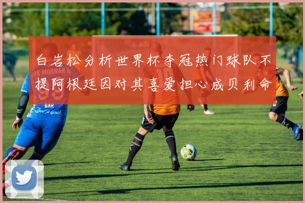 白岩松分析世界杯夺冠热门球队不提阿根廷因对其喜爱担心成贝利命运